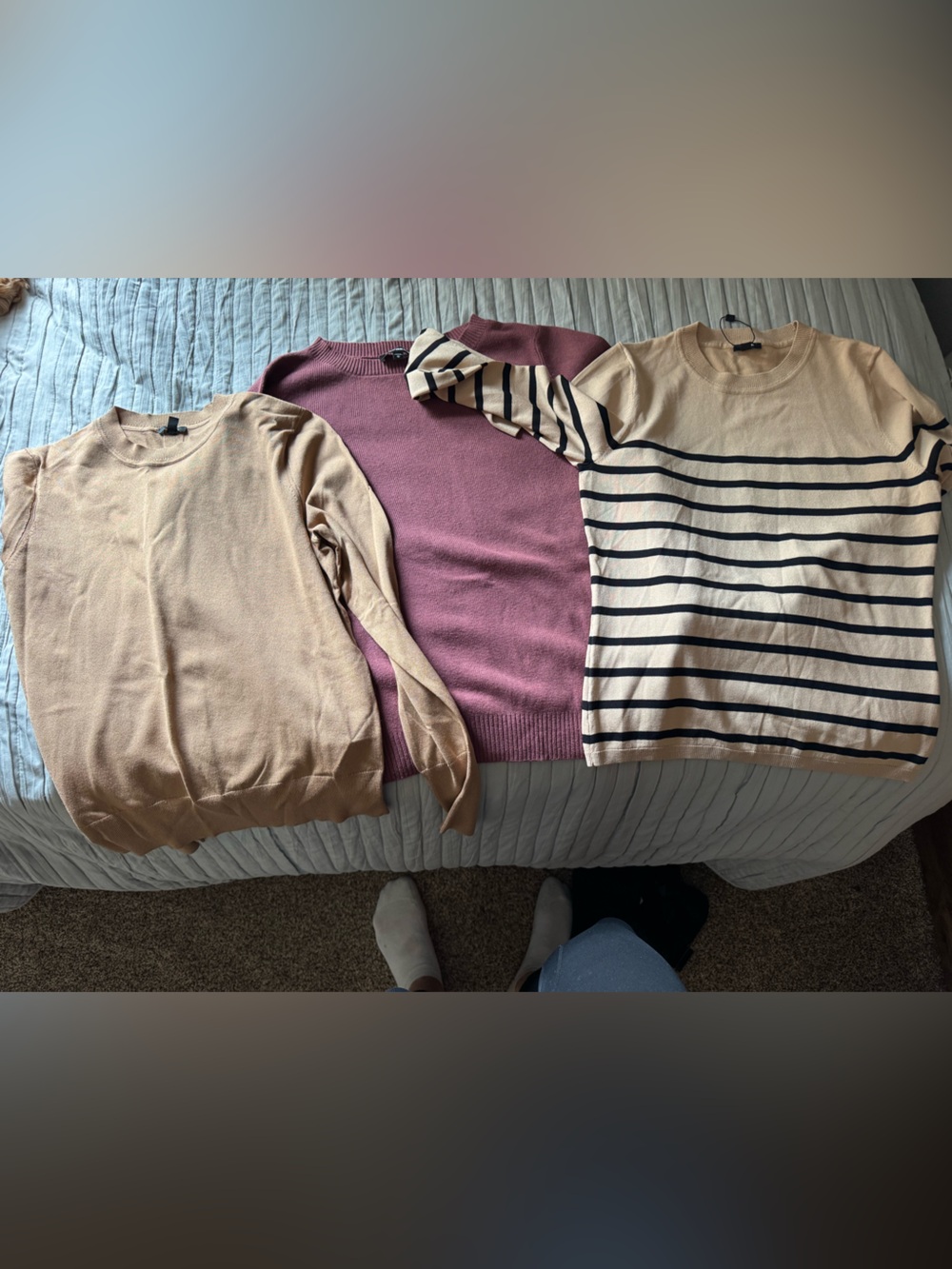 Express crew neck sweaters